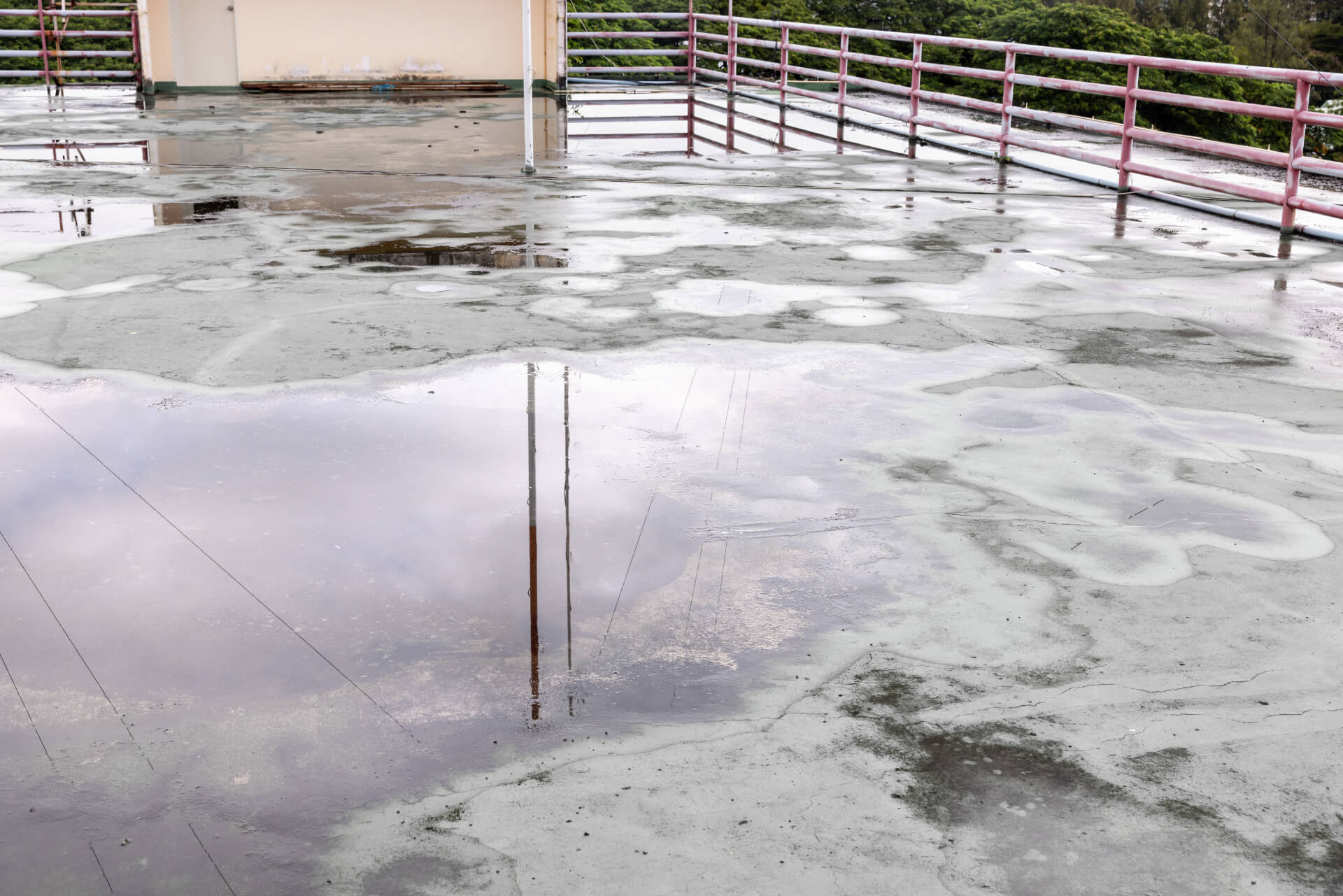 Water pooling on a damaged flat roof that needs emergency repair